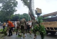 Antisipasi risiko musim hujan, berbagai instansi di Kabupaten Sukabumi bergotong royong memangkas pohon berisiko di wilayah Cikakak. | Foto: Istimewa