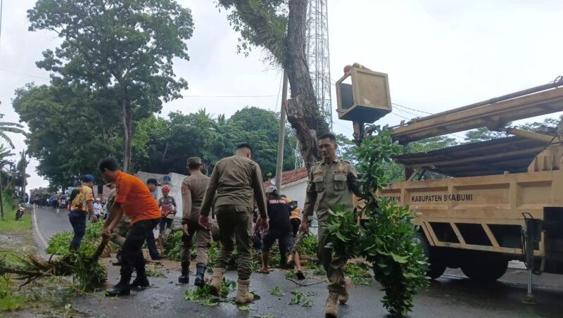 Antisipasi risiko musim hujan, berbagai instansi di Kabupaten Sukabumi bergotong royong memangkas pohon berisiko di wilayah Cikakak. | Foto: Istimewa