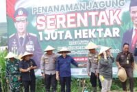 Wakil Bupati Sukabumi, H. Iyos Somantri, hadir dalam Penanaman Jagung Serentak 1 Juta Hektare se-Indonesia di Caringin, sebagai bagian dari upaya mendukung swasembada pangan 2025. | Istimewa