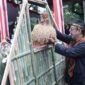 Bupati Sukabumi, Asep Japar saat acara gelar budaya rakyat di Alun-Alun Palabuhanratu, Kamis, 17 April 2025. | Fb/Pemerintah Kabupaten Sukabumi