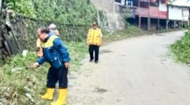 UPTD PU Cicurug rutin bersihkan bahu jalan agar ilalang tak ganggu pandangan pengendara.
