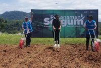 Sorgum Cipatuguran jadi energi hijau untuk PLTU Palabuhanratu.