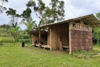 BUMDes Perbawati kembangkan beras sehat dan pisang unggulan desa. | Fb/Pemerintah Kabupaten Sukabumi 