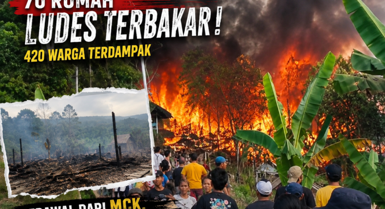 foto slider headline